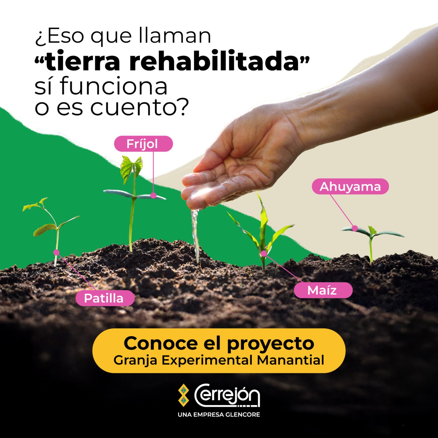 diariocaribe_banner_cerrejon_square_feb2026