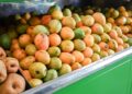 Por primera vez, Colombia exportó mango de azúcar a los Estados Unidos