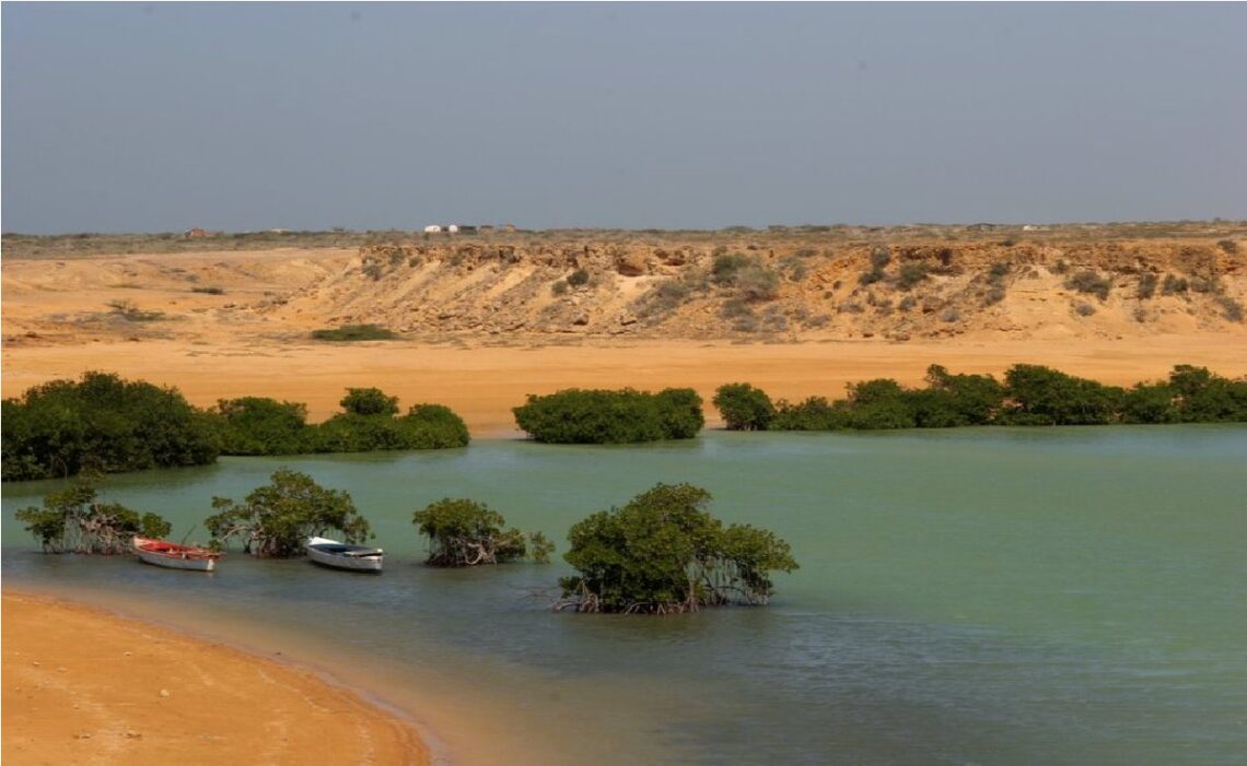 Corpoguajira prioriza la protección de los ecosistemas marinocosteros del departamento
