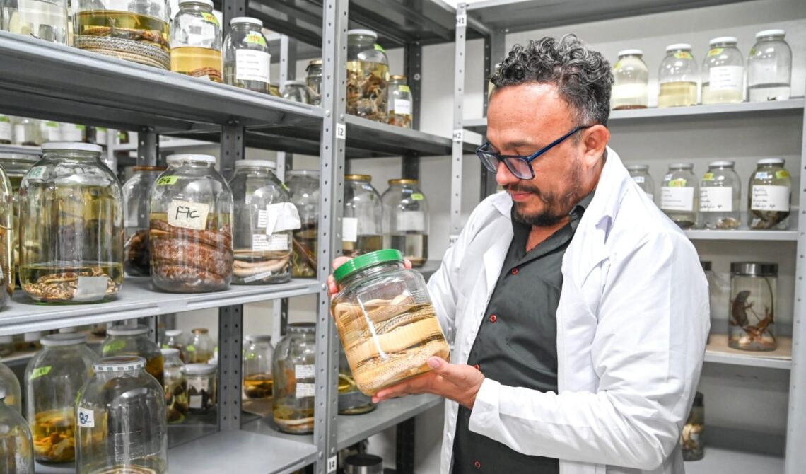 Registran nacionalmente la colección biológica de la Universidad de La Guajira