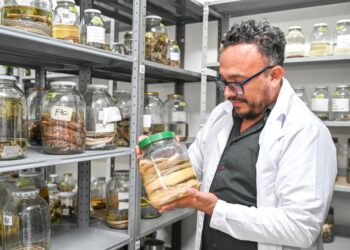 Registran nacionalmente la colección biológica de la Universidad de La Guajira