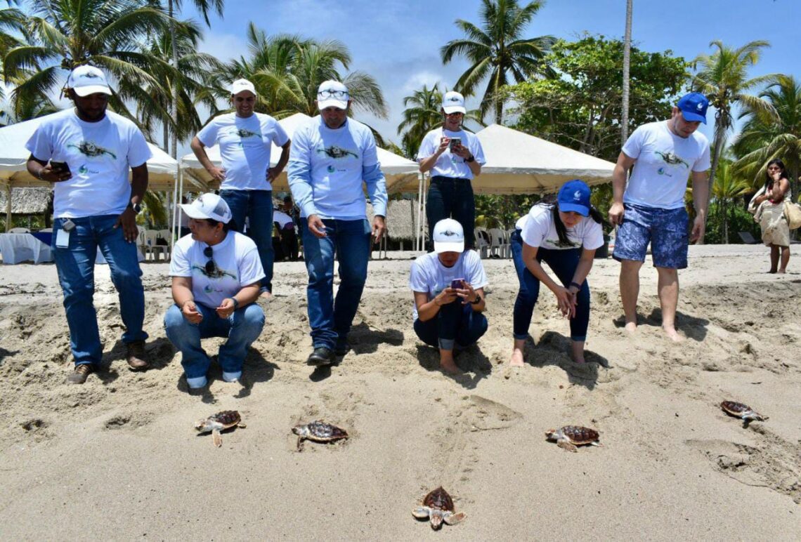 El compromiso de Hocol en la liberación de especies protegidas en el caribe colombiano