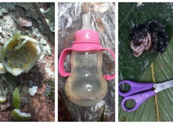 ¡Todo un milagro! – 17 días después, encuentran vivos a cuatro niños desaparecidos tras un accidente aéreo