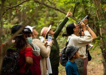 Desde La Guajira, la ANDI se sumó al Global Big Day, la pajareada más importante del mundo