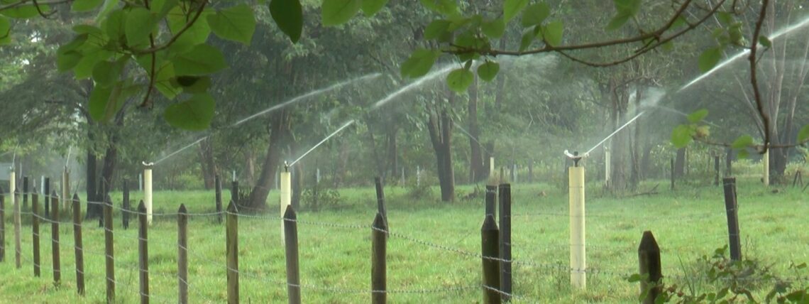 Ecopetrol recibió premio internacional por reúso  de agua para riego de cultivos en el Meta