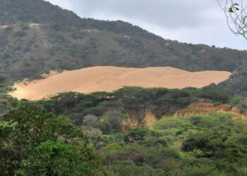 MinAmbiente anuncia plan de restauración y protección de 24 mil hectáreas en el parque natural La Macuira