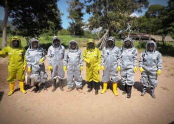 Corpoguajira asesoró la conformación del primer comité para el manejo de abejas en Maicao