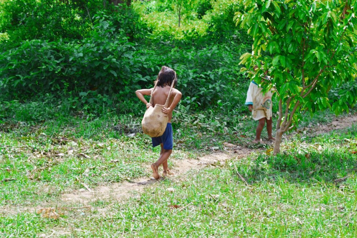 Indígenas de la Sierra Nevada de Santa Marta son los más afectados por enfermedades tropicales