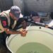 Defensoría del Pueblo advierte aumento de casos de dengue en La Guajira