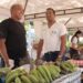 Más de 24 millones de pesos se vendieron en la Primera Feria Campesina y de Negocios Verdes 2023
