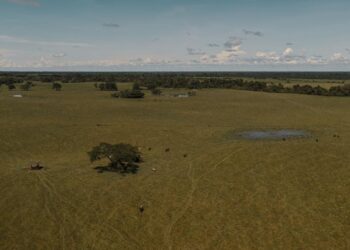 Adjudican hectáreas de tierras a firmantes de paz en La Guajira y otros tres departamentos