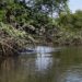 Cerrejón capacitará a miembros de comunidades para proteger el manglar en La Guajira
