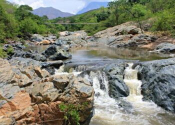 Familias de San Juan del Cesar recibirán pagos por apoyar labores de restauración de ecosistemas
