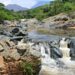 Familias de San Juan del Cesar recibirán pagos por apoyar labores de restauración de ecosistemas