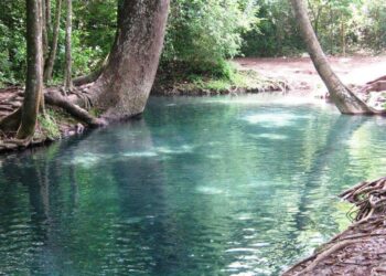 Corpoguajira urge acciones para proteger el Manantial de Cañaverales en San Juan del Cesar