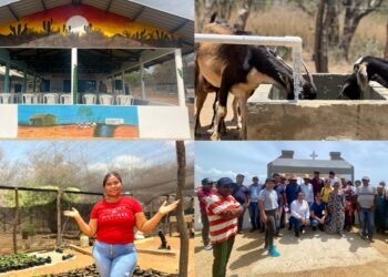 Cerrejón y las comunidades wayuu ya han cerrado 1.484 iniciativas en el marco de la sentencia T-704