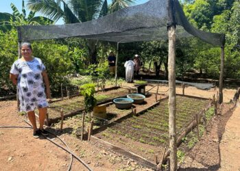 La Cancillería le apuesta a los proyectos sociales y productivos en La Guajira