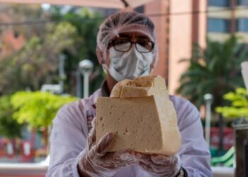 Proyecto de cadena de suministro del queso costeño muestra avances significativos en su desarrollo