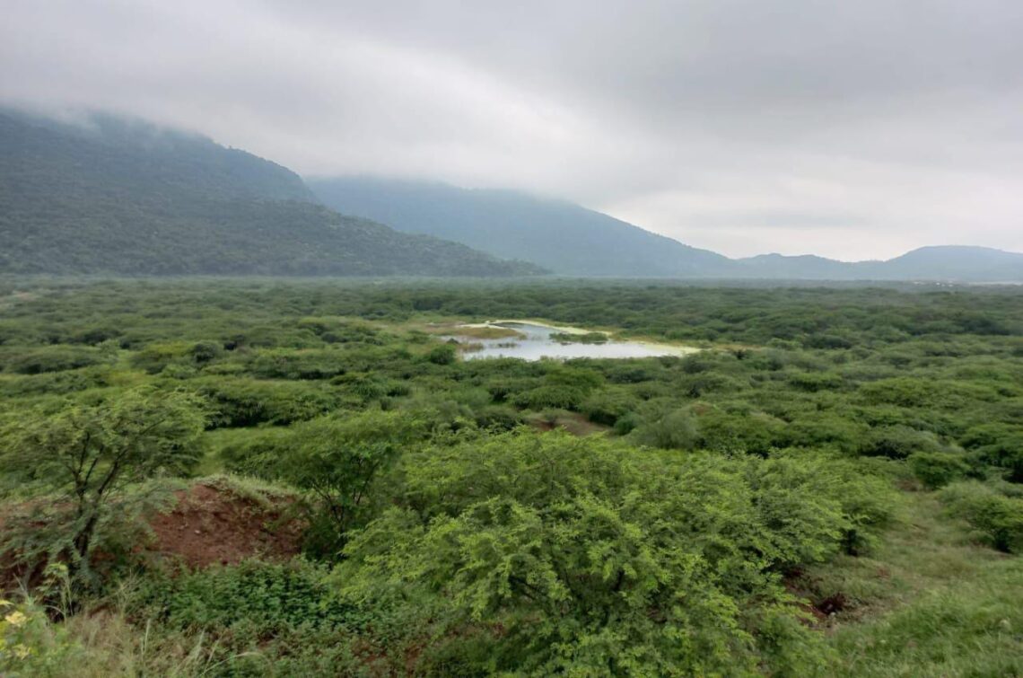 Estudio universitario confirma el efecto positivo de las áreas conservadas por Cerrejón en La Guajira