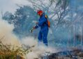 La Guajira en alerta roja por incendios forestales, según el Sistema de Alerta Temprana de Corpoguajira