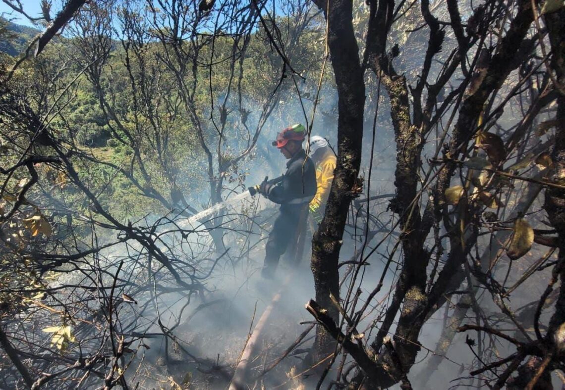 Alerta roja en toda La Guajira por ocurrencia de incendios forestales