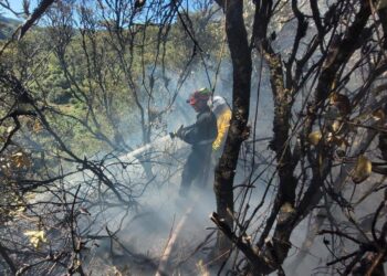 Alerta roja en toda La Guajira por ocurrencia de incendios forestales