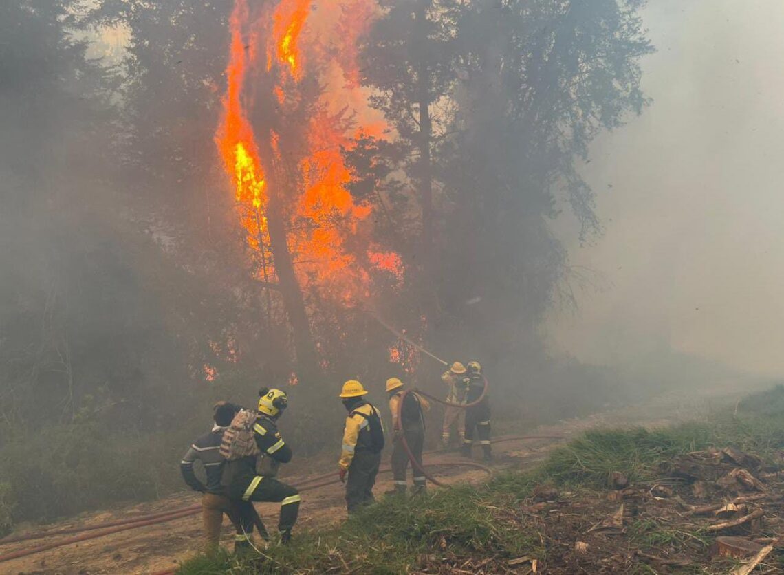 Gobierno nacional refuerza medidas contra los incendios forestales en Colombia