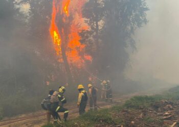 Gobierno nacional refuerza medidas contra los incendios forestales en Colombia