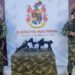 Una operación militar en Uribia dejó la incautación de armas de alto alcance