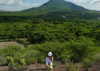 Artículo científico expone los efectos de la minería de carbón sobre la biodiversidad en La Guajira