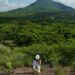Artículo científico expone los efectos de la minería de carbón sobre la biodiversidad en La Guajira
