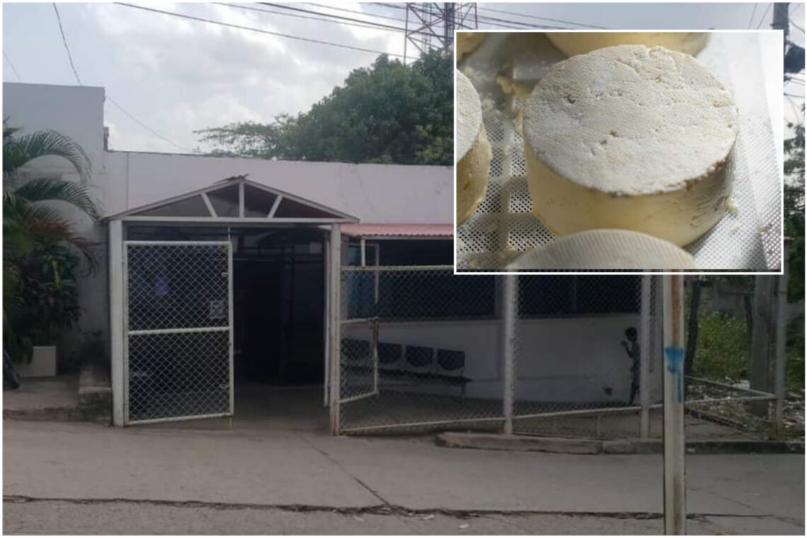 Reportan intoxicación masiva en Albania por queso en malas condiciones