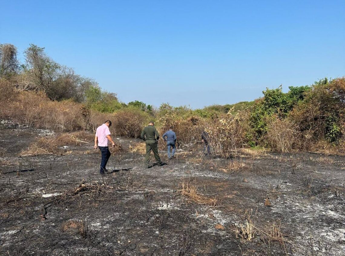 Alcalde de La Jagua del Pilar anuncia comparendos ambientales por quemas y tala de árboles