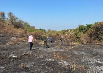Alcalde de La Jagua del Pilar anuncia comparendos ambientales por quemas y tala de árboles