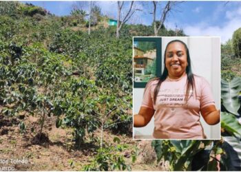 Docente guajira falleció trágicamente en Toledo, Antioquia: iba para su trabajo