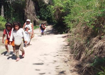 Inicia campaña de solidaridad para brindar atención a decenas de familias wiwas desplazadas