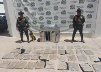 En Riohacha, perro policía detectó 22 kilos de marihuana que llegaron como encomienda