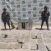 En Riohacha, perro policía detectó 22 kilos de marihuana que llegaron como encomienda