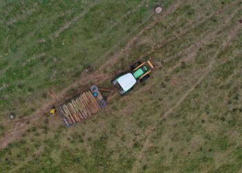 Agencia Nacional de Tierras realizará rueda de negocios con ganaderos en Montería, Sincelejo y Valledupar