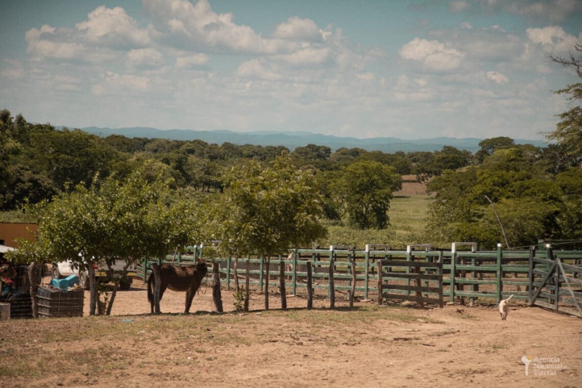 Más de 90 ganaderos del Cesar, Magdalena y La Guajira participaron en la rueda de negocios