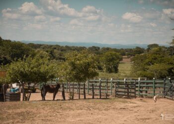 Más de 90 ganaderos del Cesar, Magdalena y La Guajira participaron en la rueda de negocios