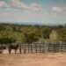 Más de 90 ganaderos del Cesar, Magdalena y La Guajira participaron en la rueda de negocios