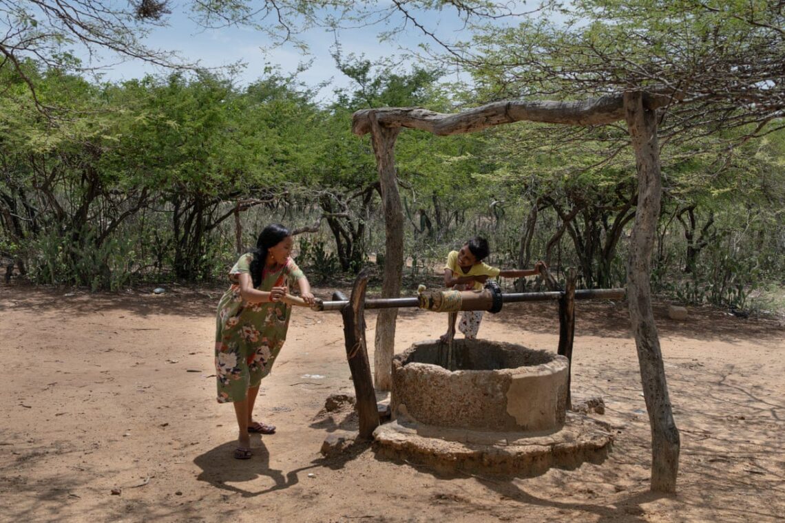 Niños y niñas indígenas wayuu luchan contra el hambre, las enfermedades y la escasez de agua