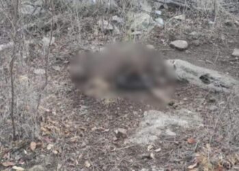 Encuentran restos humanos en zona rural de San Juan del Cesar