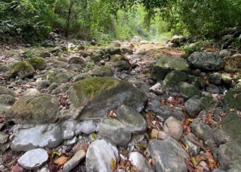 Alerta en Maicao por la sequía: reportan bajos niveles del río Jordan