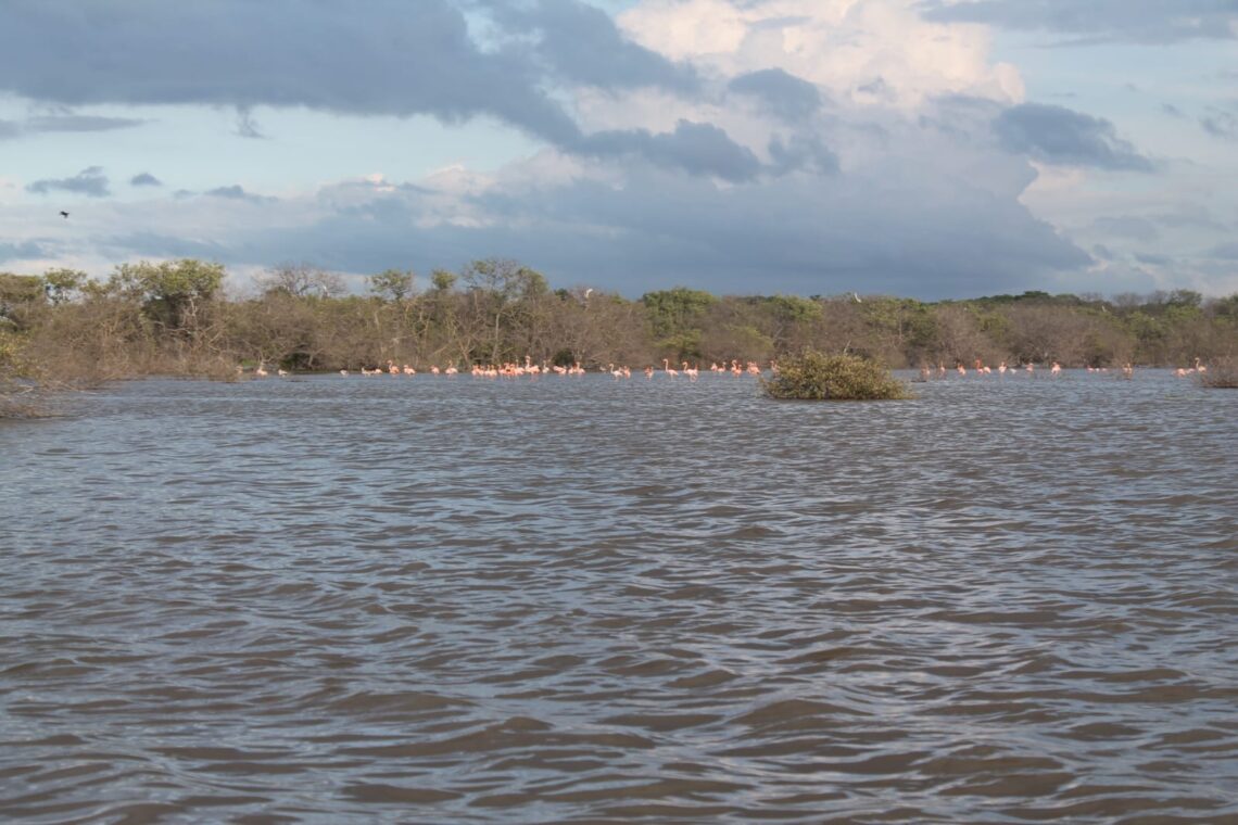 ¿Cómo solucionar el vertimiento de aguas residuales en Camarones, Riohacha?