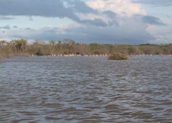 ¿Cómo solucionar el vertimiento de aguas residuales en Camarones, Riohacha?