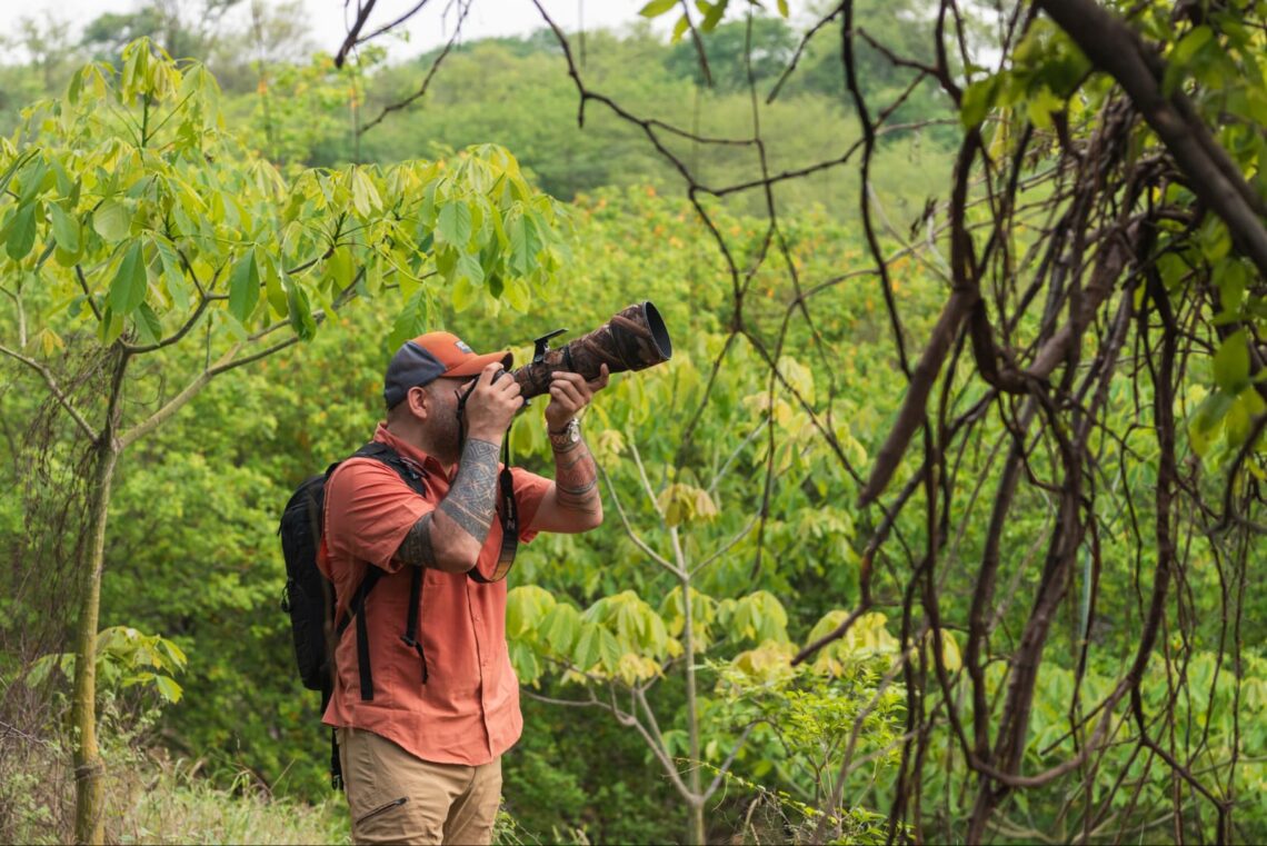 El corredor Wüinn Mana en La Guajira se consolida como un destino de aviturismo en el Caribe colombiano