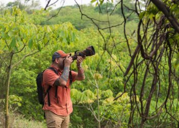 El corredor Wüinn Mana en La Guajira se consolida como un destino de aviturismo en el Caribe colombiano