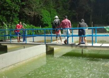 Por protestas contra Air-e, todo el municipio de Maicao estuvo sin agua durante cuatro días
